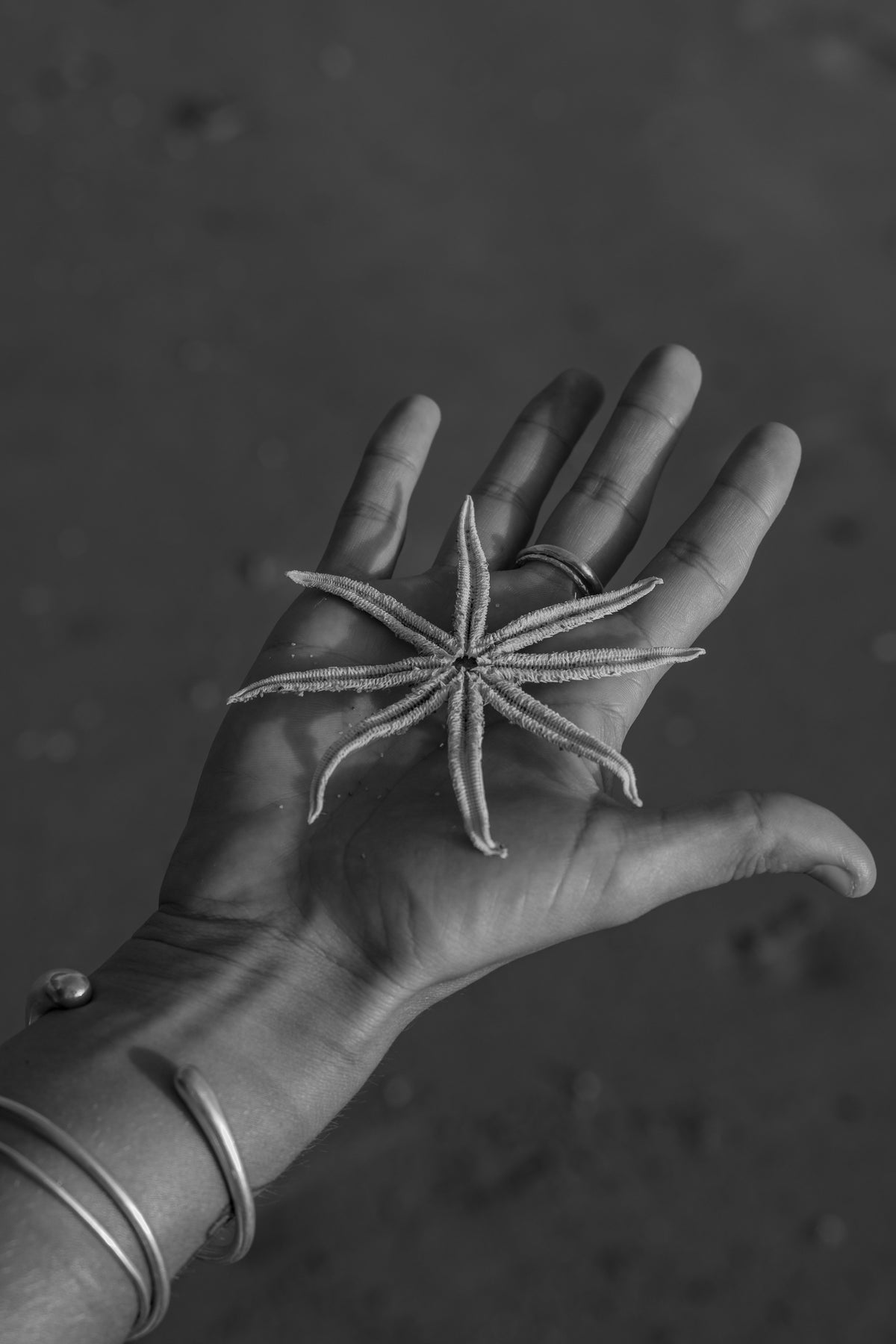 Toile - Archive N°17 « N&B star »