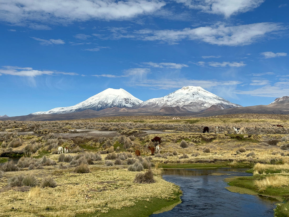Chapitre 2 : Perdues à la frontière de la Bolivie