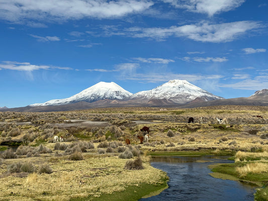 Chapitre 2 : Perdues à la frontière de la Bolivie