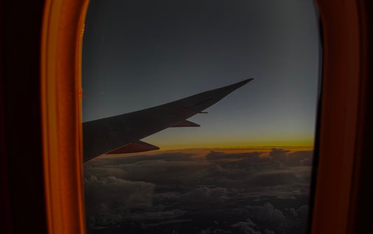 Ce que je n’ai jamais dit