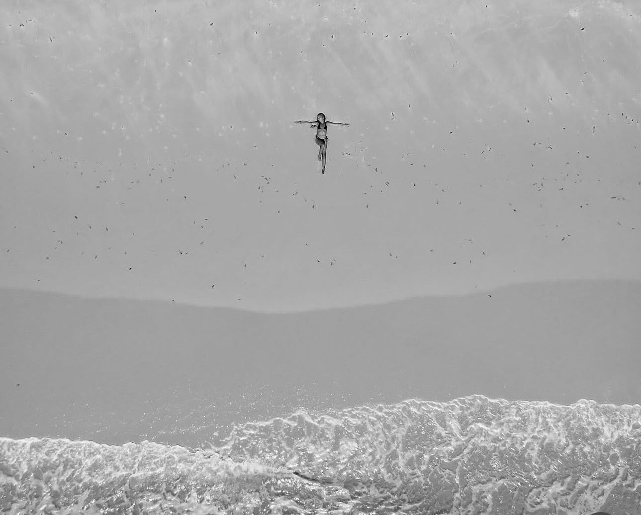 Les archives - Photographies