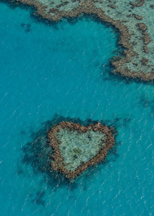 Toile - Archive N°8 « blue heart »