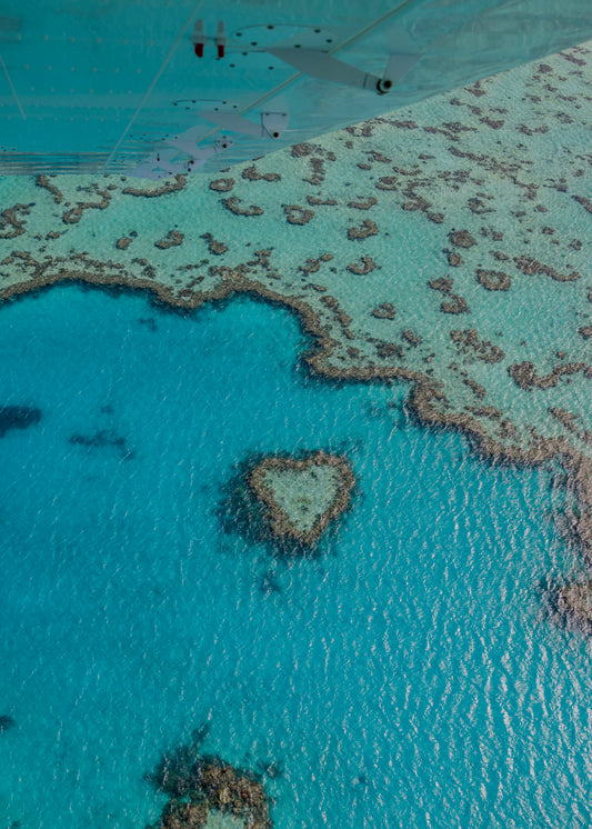 Toile - Archive N°9 « blue heart 2 »
